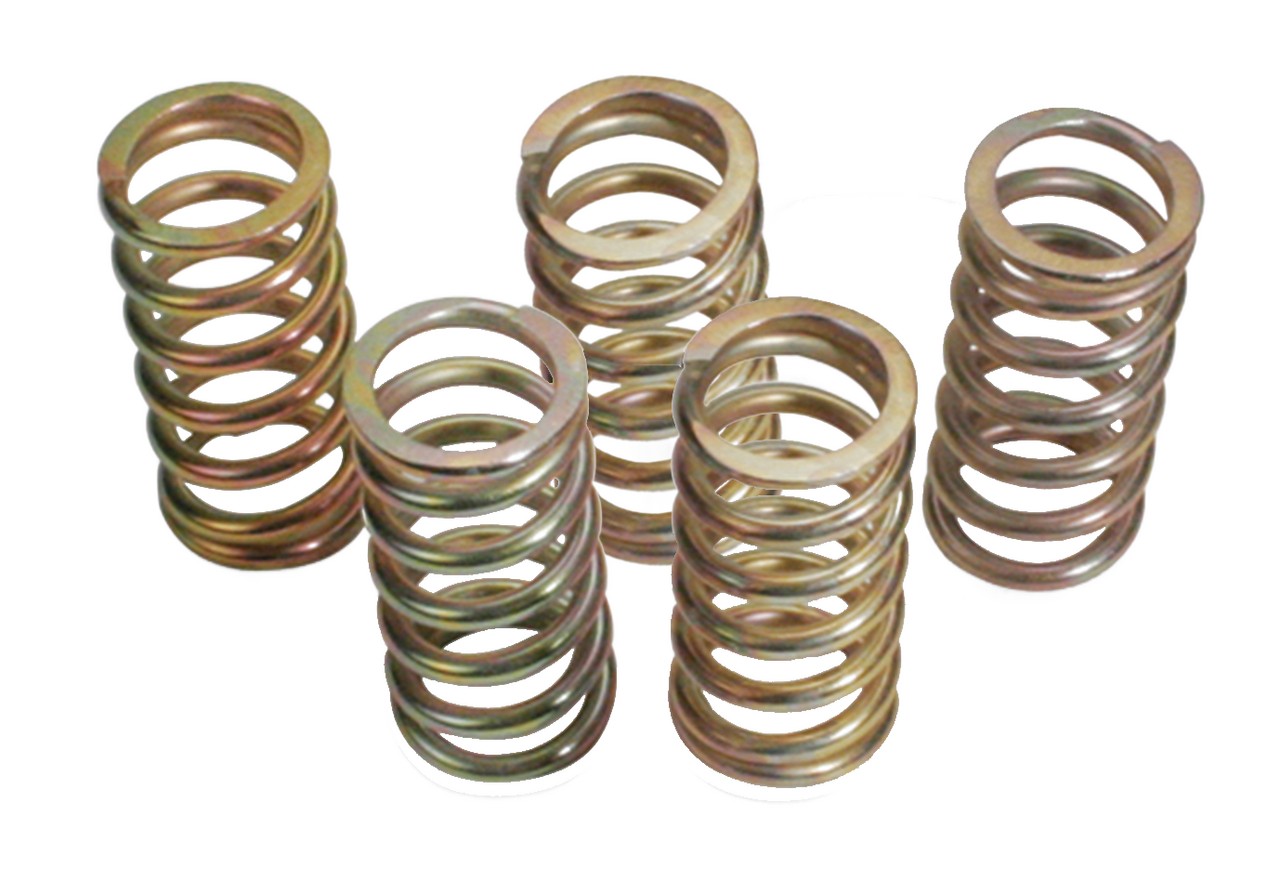Xtra Heavy duty clutch springs VRSC02-07
