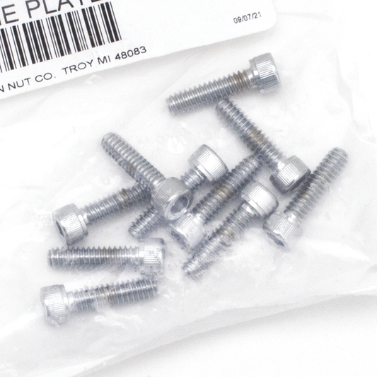10pck Chrome allen screws 10-24x3/4
