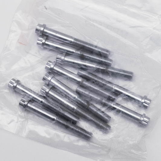 10pck 12-point screw 1/4-28x2", UNF