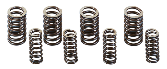 Valve springset 8pcs #18202-83 BT84-03